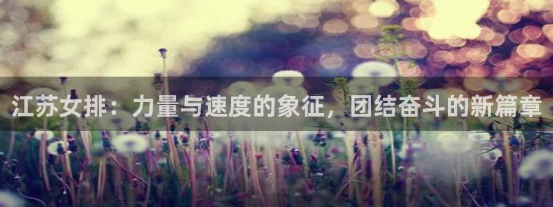 oety欧亿：江苏女排：力量与速度的象征，团结奋斗的新篇章