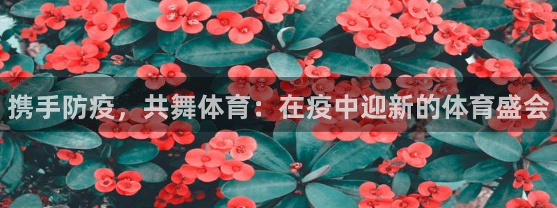 oety欧亿：携手防疫，共舞体育：在疫中迎新的体育盛会