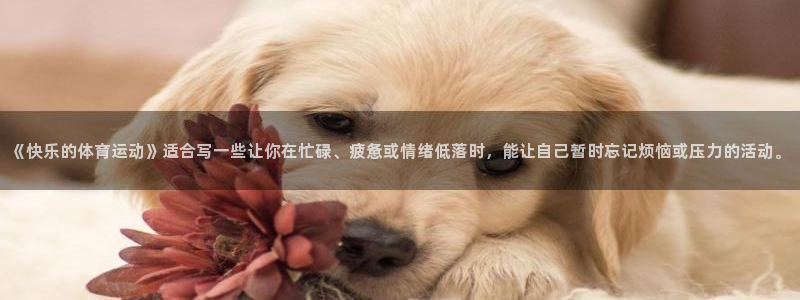 oety欧亿：《快乐的体育运动》适合写一些让你在忙碌、疲惫或情绪低落时，能让自己暂时忘记烦恼或压力的活动。