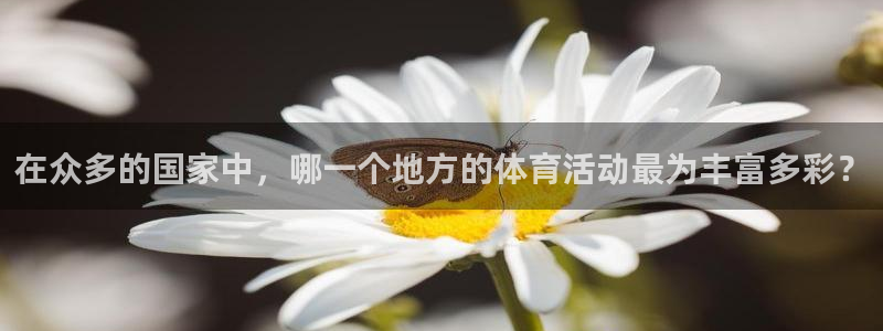 oety欧亿：在众多的国家中，哪一个地方的体育活动最为丰富多彩？
