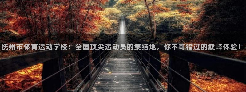 oety欧亿：抚州市体育运动学校：全国顶尖运动员的集结地，你不可错过的巅峰体验！