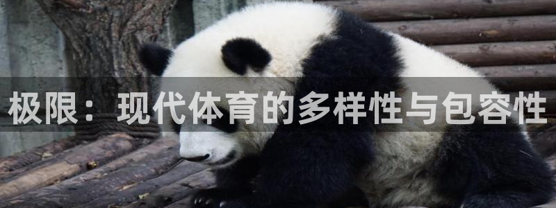oety欧亿：极限：现代体育的多样性与包容性