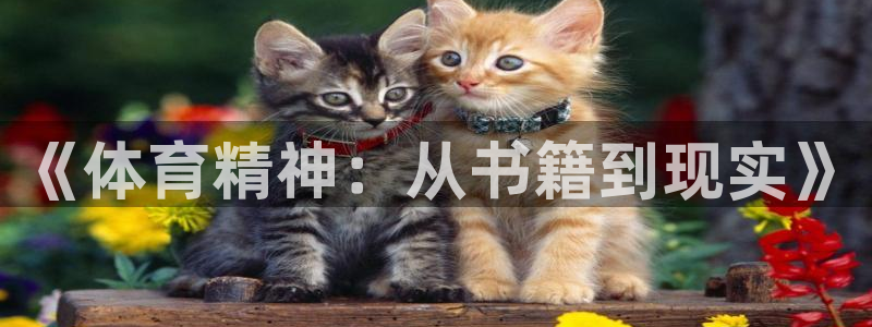 oety欧亿：《体育精神：从书籍到现实》