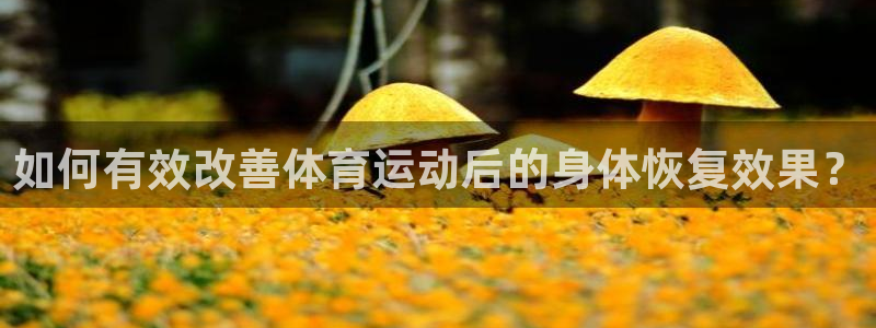 oety欧亿：如何有效改善体育运动后的身体恢复效果？