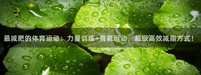 oety欧亿：最减肥的体育运动：力量训练+有氧运动，超级高效减脂方式！