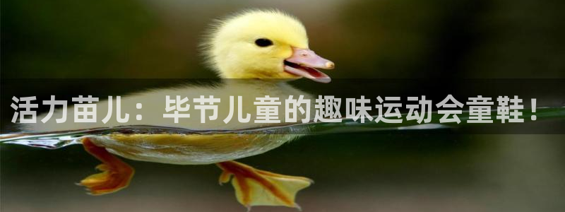 oety欧亿：活力苗儿：毕节儿童的趣味运动会童鞋！