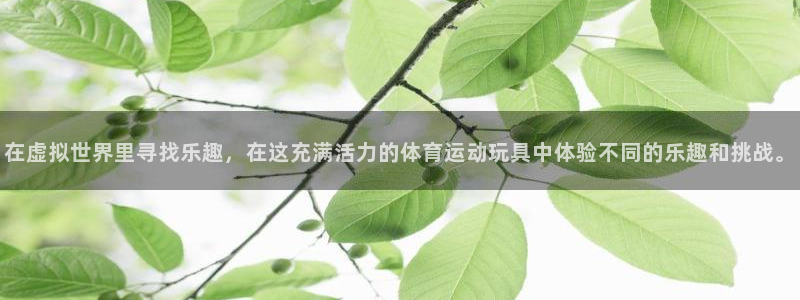 oety欧亿：在虚拟世界里寻找乐趣，在这充满活力的体育运动玩具中体验不同的乐趣和挑战。