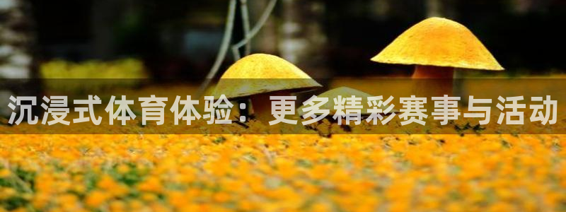 oety欧亿：沉浸式体育体验：更多精彩赛事与活动