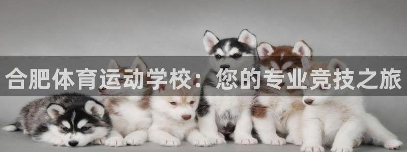 oety欧亿：合肥体育运动学校：您的专业竞技之旅