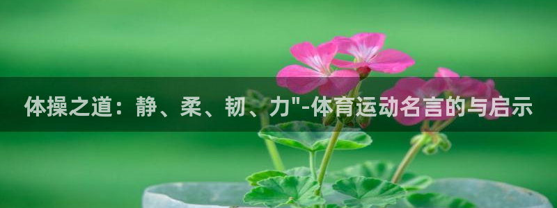 oety欧亿：体操之道：静、柔、韧、力\